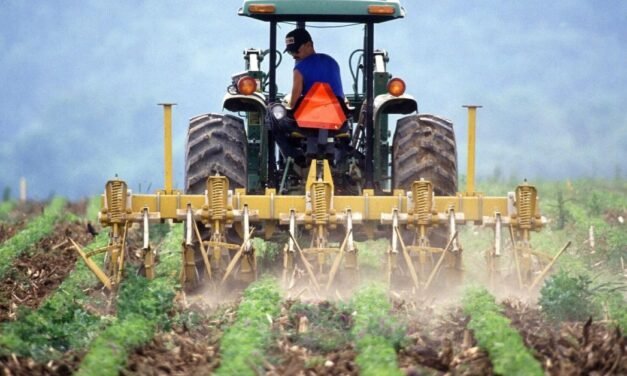 Rząd przeznaczył 125 mln. BGN rolnikom