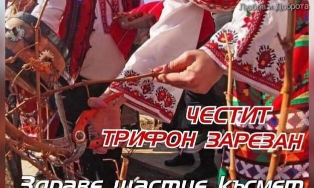 14 luty – Dzień św. Tryfona uważany za święto winiarzy , sokolników , ogrodników , bednarzy i karczmarzy