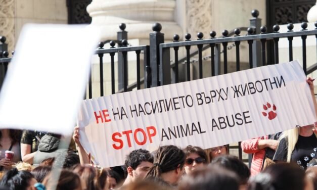 Narodowy protest w obronie zwierząt zebrał się ponownie przed budynkiem sądu w Sofii