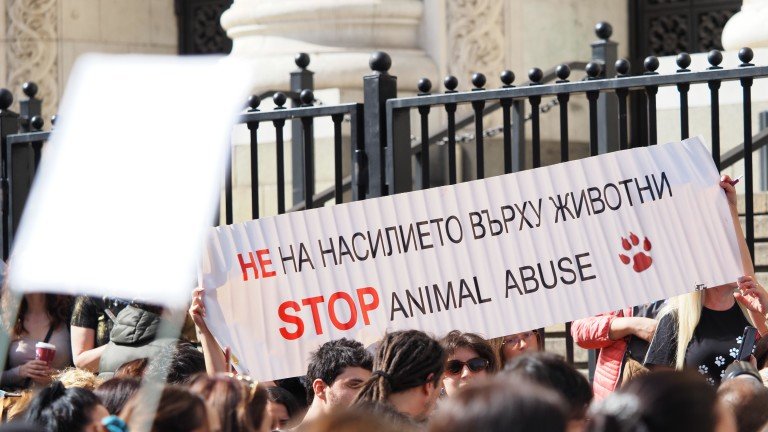 Narodowy protest w obronie zwierząt zebrał się ponownie przed budynkiem sądu w Sofii