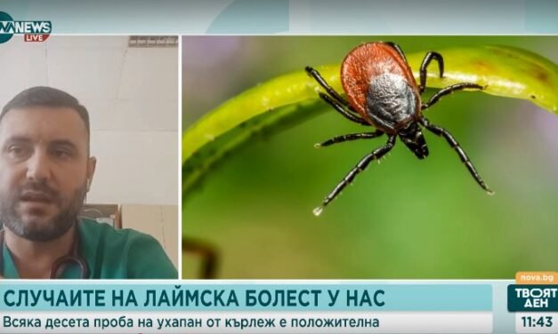 W stolicy ruszają opryski przeciw kleszczom