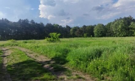 15,500 EUR – działka budowlana 8km od morza