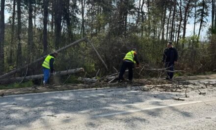 Rząd będzie prowadził „wojnę na drogach” za pomocą 37 środków zapobiegawczych mających na celu zmniejszenie liczby ofiar o 20%