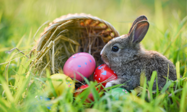 Przerwa Wielkanocna przypada 18-21 kwietnia 2025 roku.