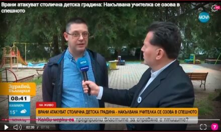 Agresywne wrony atakują przedszkole w Sofii