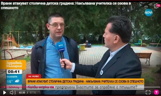 Agresywne wrony atakują przedszkole w Sofii