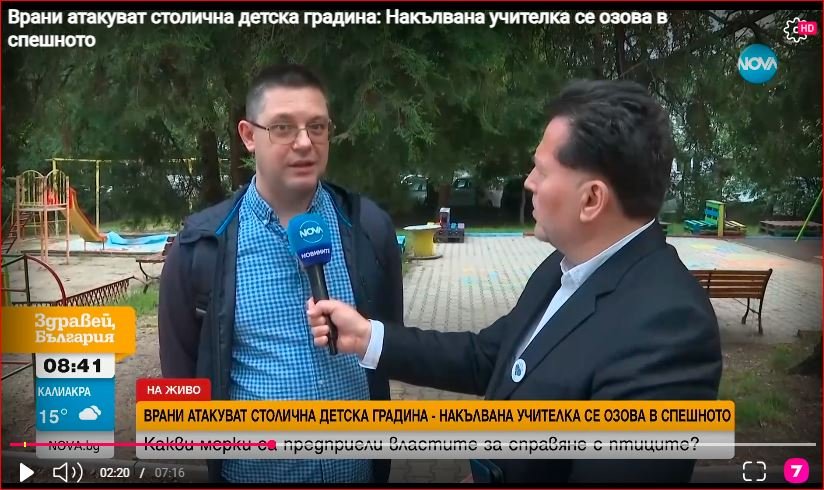 Agresywne wrony atakują przedszkole w Sofii