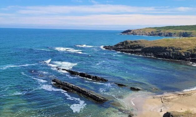 Czy w Bułgarii będziemy oddychać czystszym powietrzem? Krajowy system monitoringu jest modernizowany