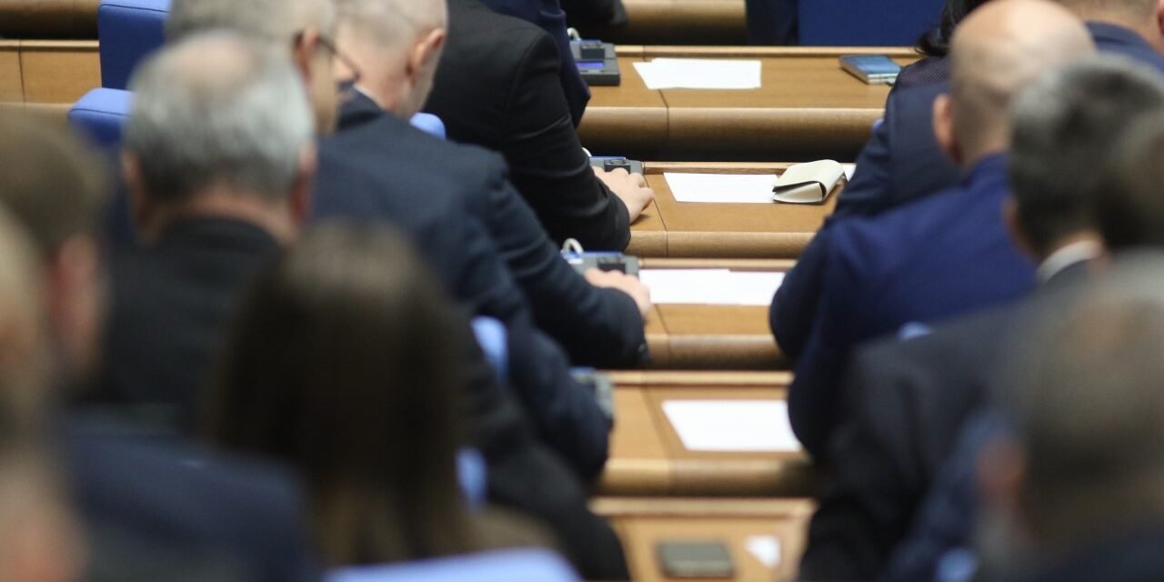 Posłowie zaostrzyli kary za przestępstwa przeciwko zwierzętom