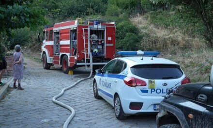 Około 600 strażaków walczy z płomieniami na ziemi