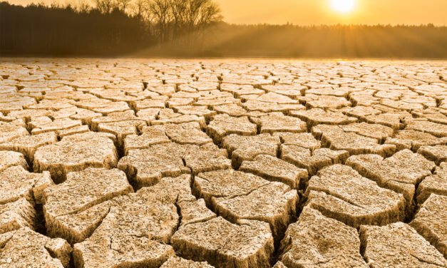 Minister wzywa do oszczędzania wody: pozwólcie pomidorom wyschnąć