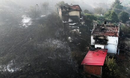 Pożary lasów w Bułarii – jak powstrzymać żywioł ognia?