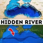 Sekret Morza Czarnego – rzeka w morzu