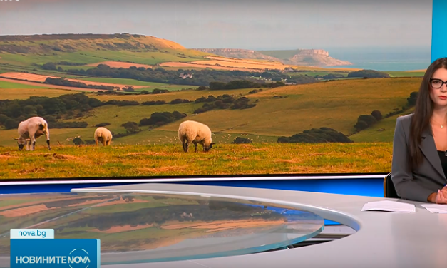 Z powodu ospy zwierzęcej: wzmożone kontrole Bułgarskiej Agencji Bezpieczeństwa Żywności i policji w obwodzie haskowskim