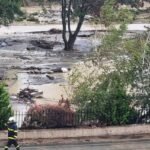 Ukradli wyposażenie bohaterów, którzy uratowali ludzi przed potopem w Elenite