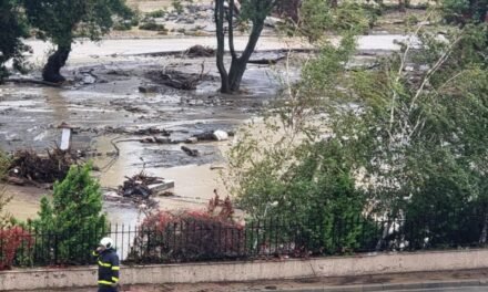 Ukradli wyposażenie bohaterów, którzy uratowali ludzi przed potopem w Elenite