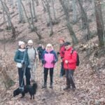 Tradycyjny przemarsz z kijkami /nordic walking/ ścieżkami Witoszy