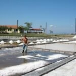 Muzeum Soli – magia Pomorie